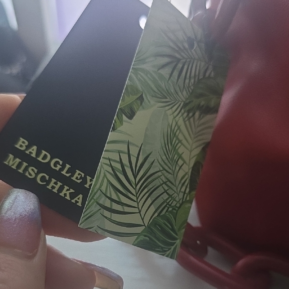 Badgley Mischka Red Frame Clutch Shoulder Bag W/ Chain (NWT)(MSRP $129) ✨️❤️✨️ - Picture 5 of 6